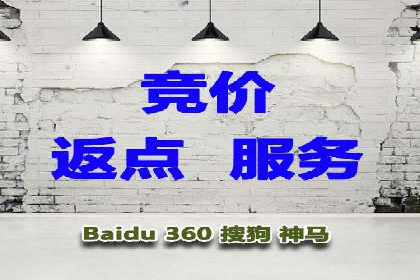 成功案例：SEM竞价代运营助力品牌崛起